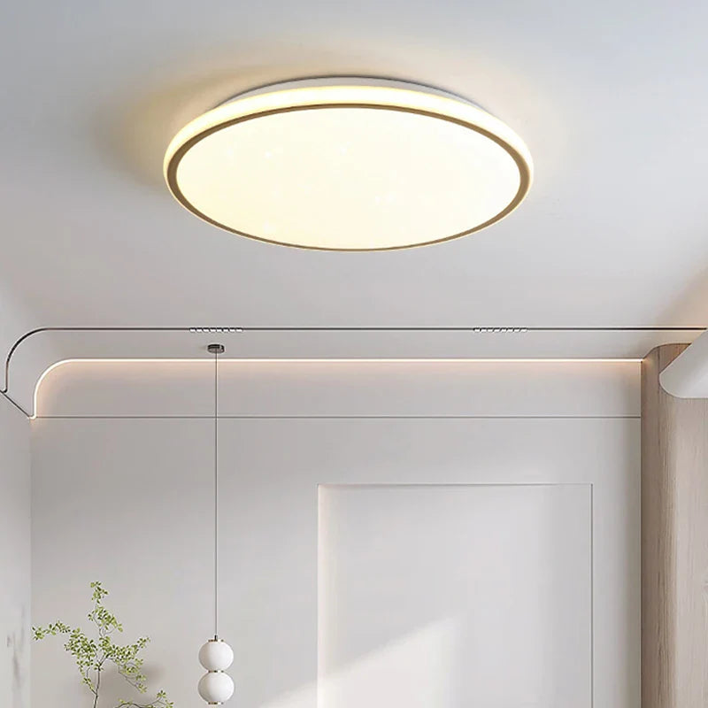 Afralia™ LED Ceiling Lights - Modern Home Decor for Bedroom Living Room Hallway Lighting Fixtures