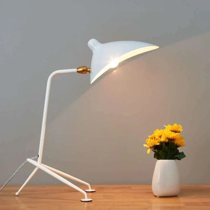 Afralia™ Black Nordic Floor Lamp for Living Room, Designer Aluminum Standing Light