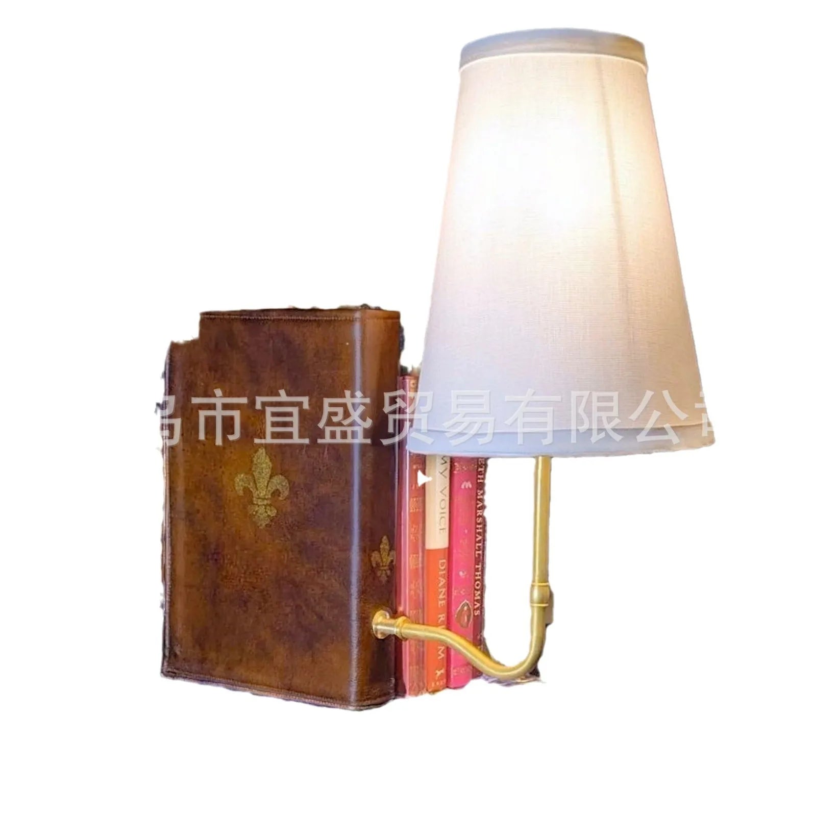 Afralia™ Vintage Literature Bookshelf Lamp Classic Design for Home Office Library