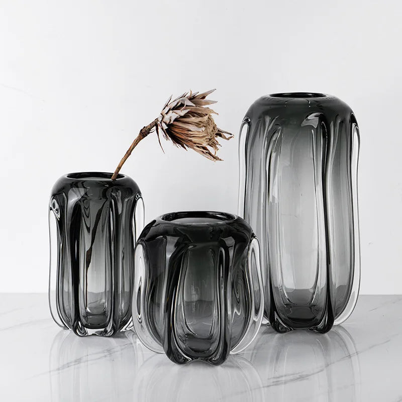 Afralia™ Glass Vase for Hydroponics & Flower Arrangement - Home Decor Accent