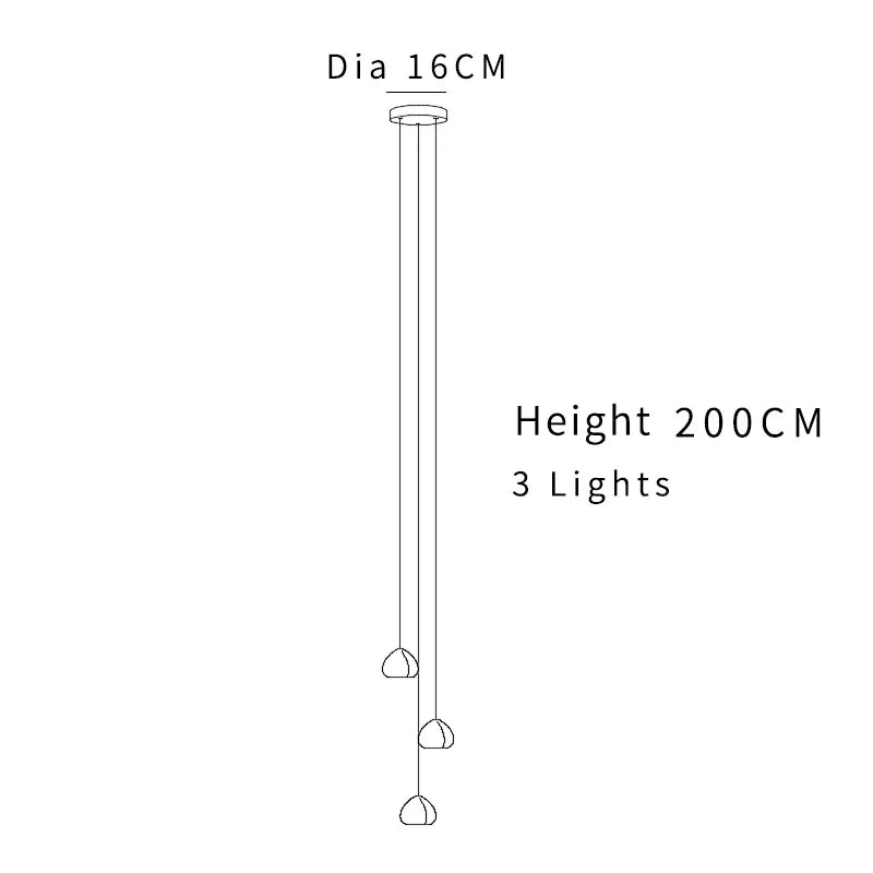 45110814048509|45110814081277