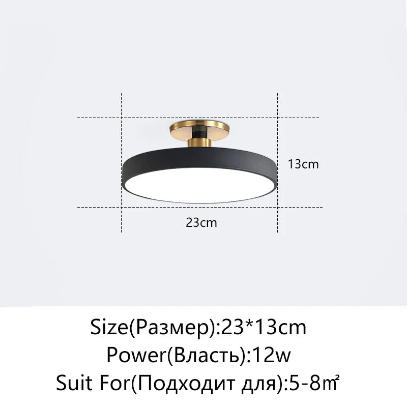 Afralia™ LED Ceiling Lamp for Living Room Study Child Bedroom Indoor Lighting