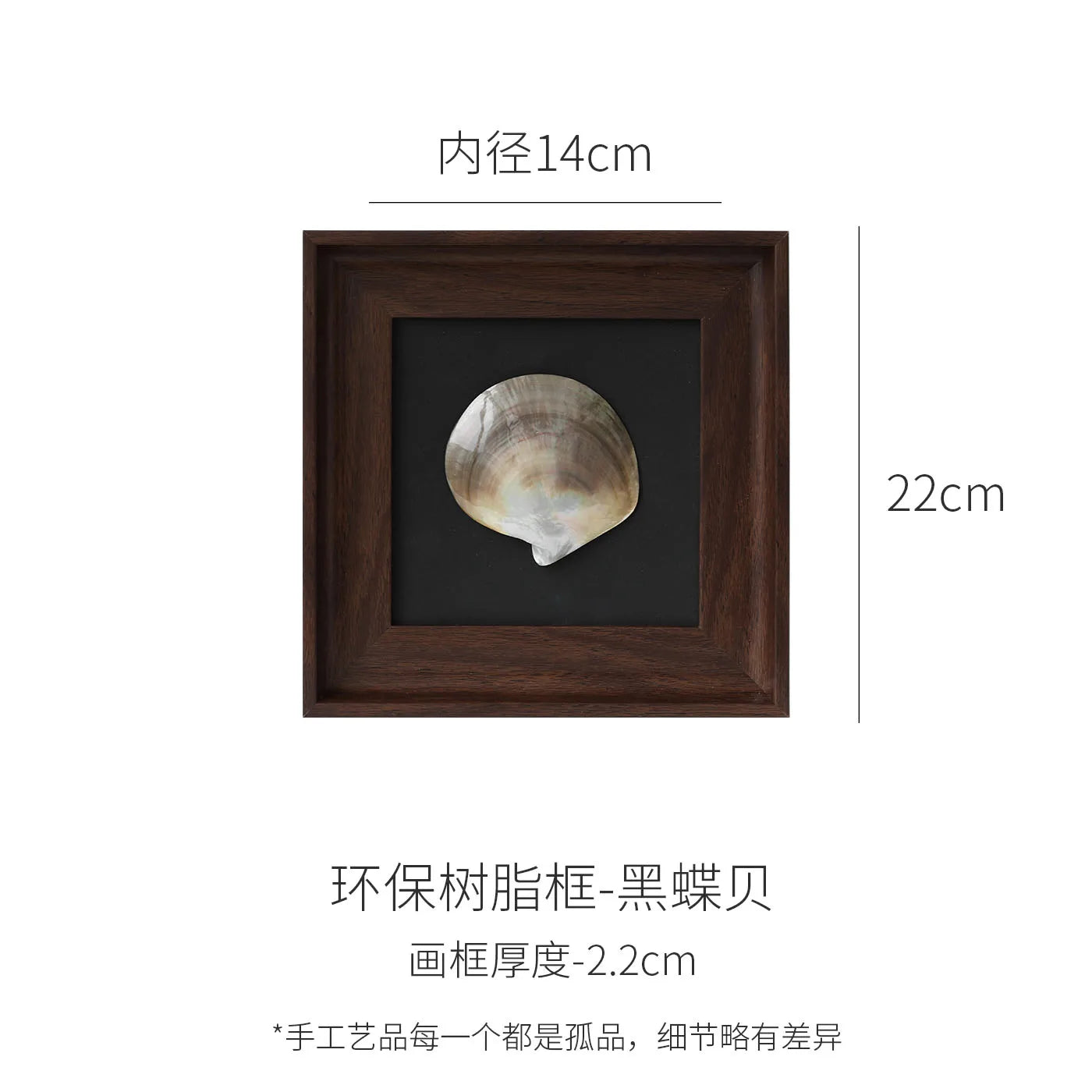 Afralia™ Conch Shell Decorative Painting Frame Pendant Wall Ornaments