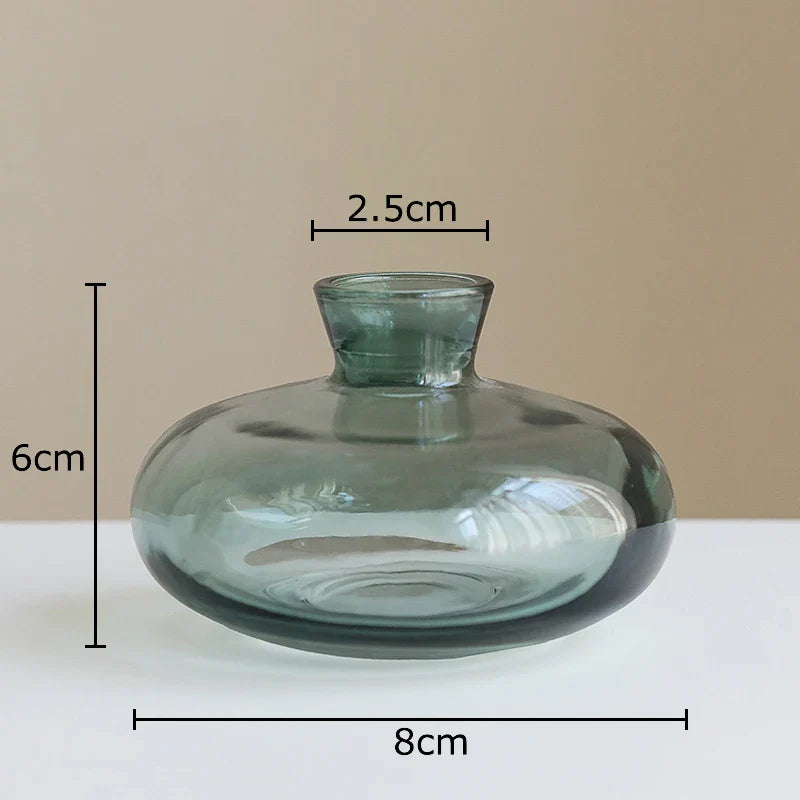 Afralia™ Small Glass Vase for Table Decoration Room Aesthetic, Multi Style Floral Pots