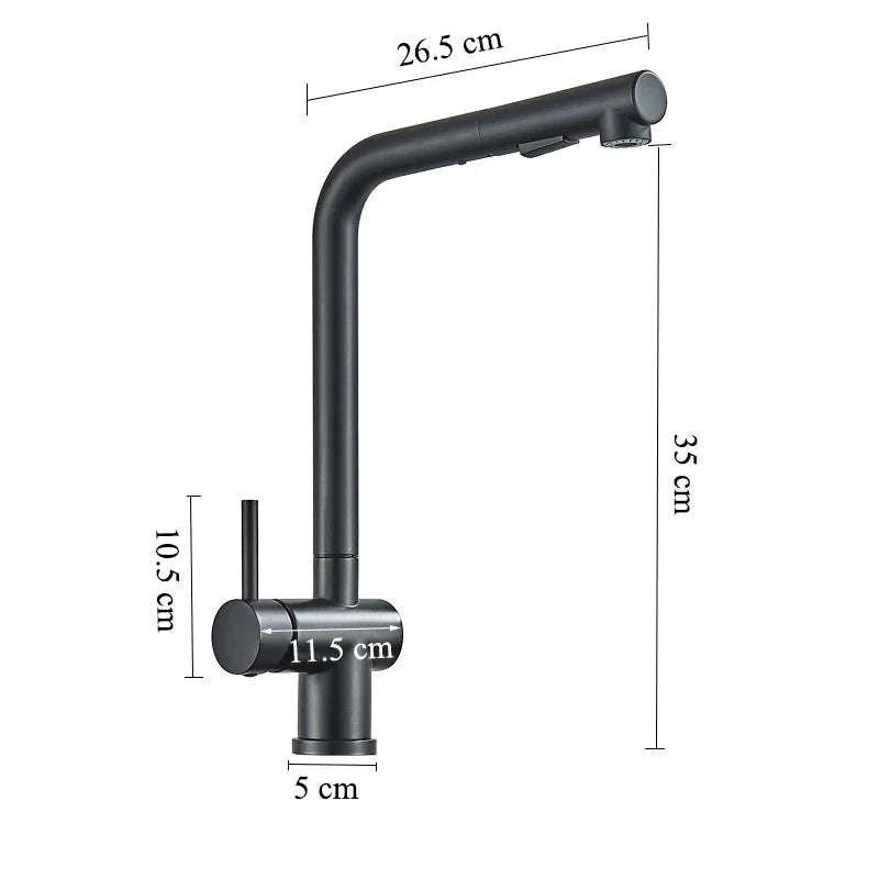 Afralia™ Stainless Steel Kitchen Faucet Black Hot Cold Mixer Two Water Outlet Sink Tap