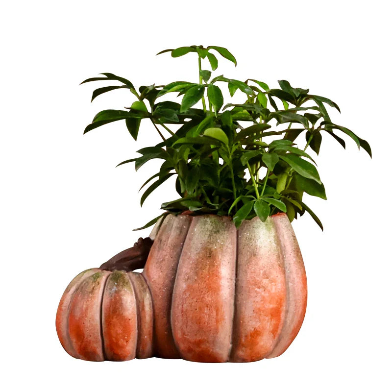 Afralia™ Pumpkin Flower Vase | Ceramic Garden Decoration Succulent Pot Plantas Accesorios