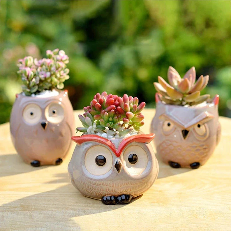 Afralia™ Mini Owl Flower Pot Succulent Ceramic European Style Cute Animal Garden Decor
