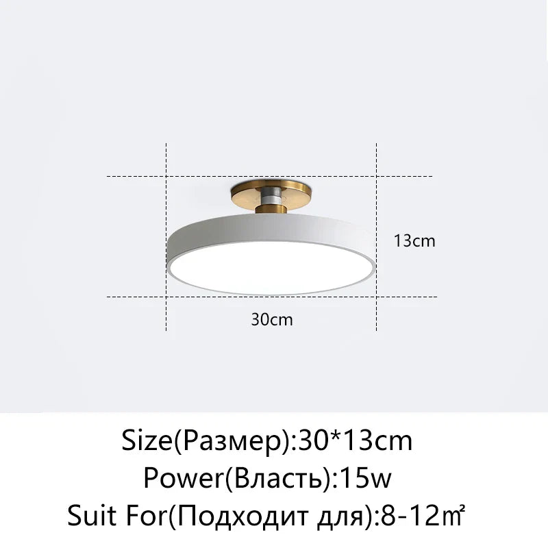 Afralia™ LED Ceiling Lamp for Living Room Study Child Bedroom Indoor Lighting