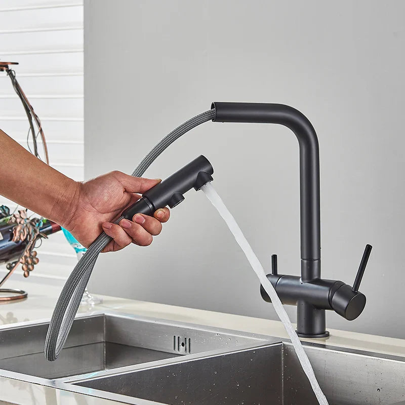 Afralia™ Kitchen Faucet with Water Filter Tap and Dual Sprayer