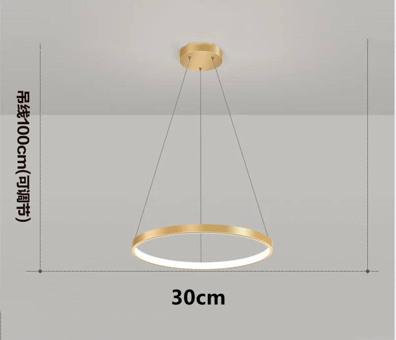 Afralia™ Modern Black Ring LED Pendant Light Chandelier for Home Decoration