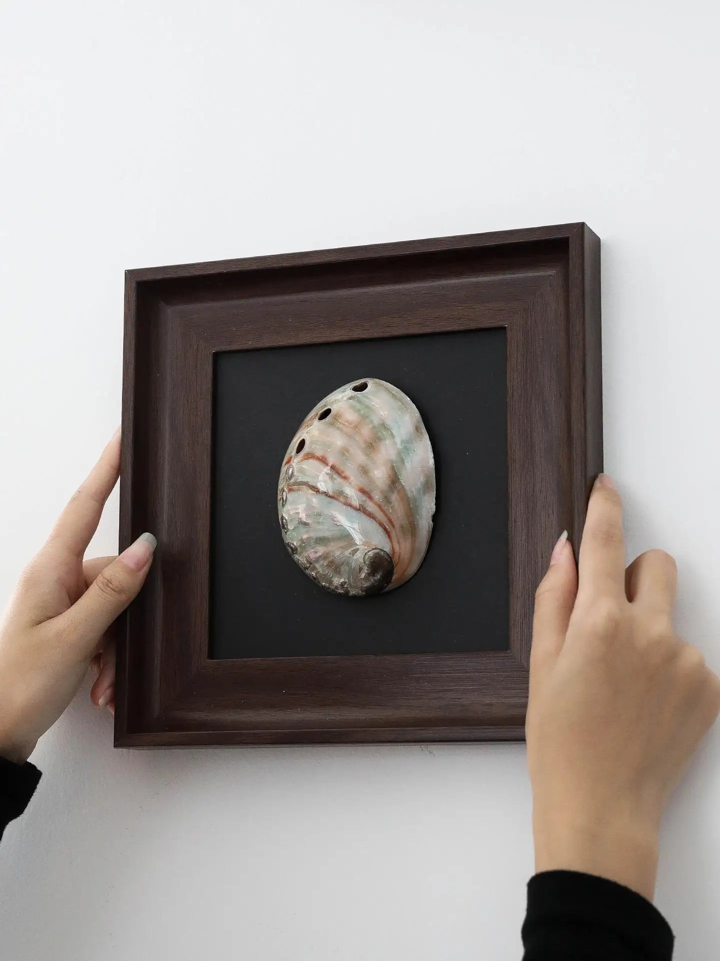 Afralia™ Conch Shell Decorative Painting Frame Pendant Wall Ornaments
