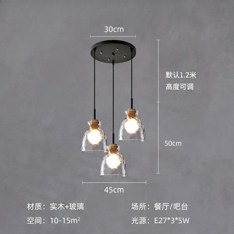 Afralia™ Clear Glass Pendant Lamp with LED Lights for Home Decor
