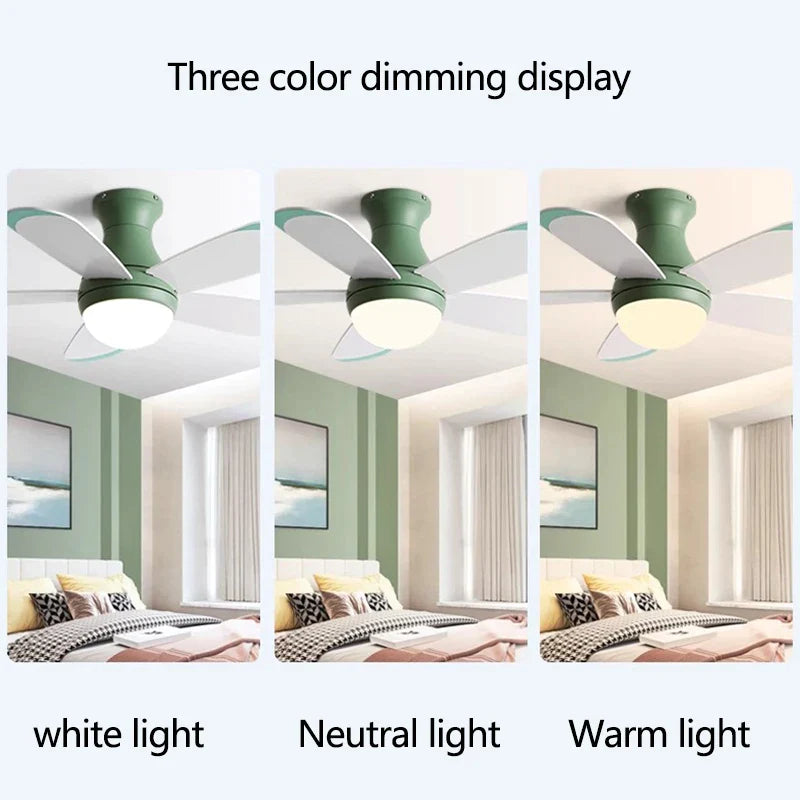 Afralia™ Modern Ceiling Fan Light with Control, Low Floor, 110V 220V