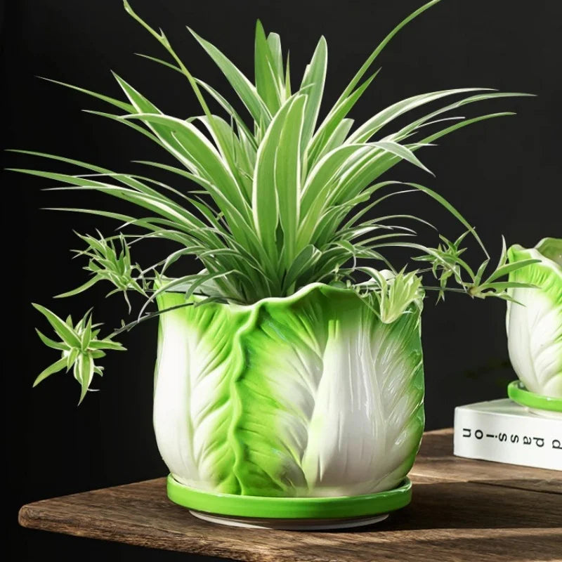 Afralia™ Cabbage Flowerpot with Tray | Creative Cartoon Vegetable Basin | Indoor Garden Flower Vase