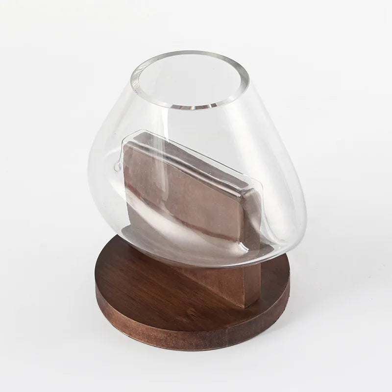 Afralia™ Glass Vase Terrarium Home Decoration Accessory