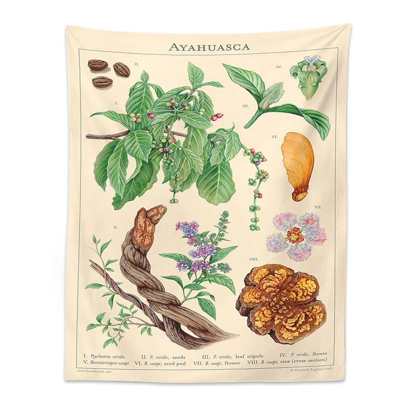 Afralia™ Botanical Tapestry Wall Hanging Vintage Floral Print Reference Chart Art