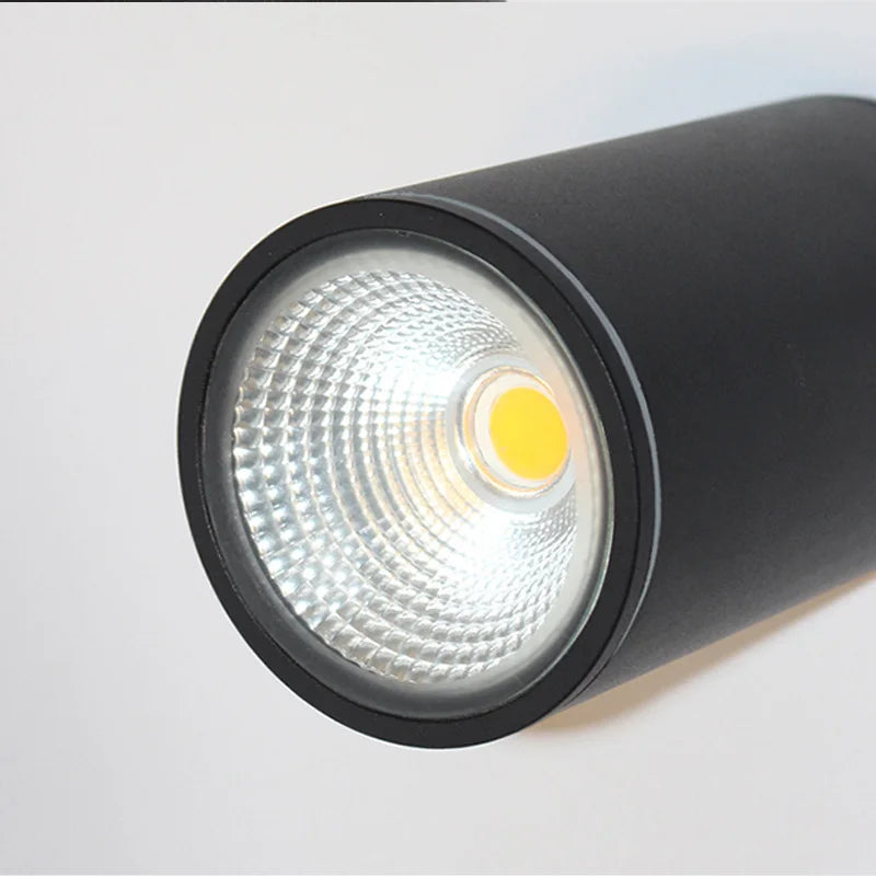 Afralia™ Outdoor LED Ceiling Lights for Kitchen Hallway Lighting Fixtures