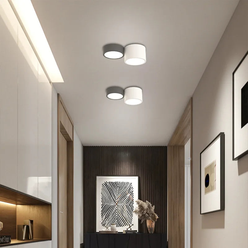 Afralia™ Cylinder LED Ceiling Lamp for Living Room and Bedroom Decor