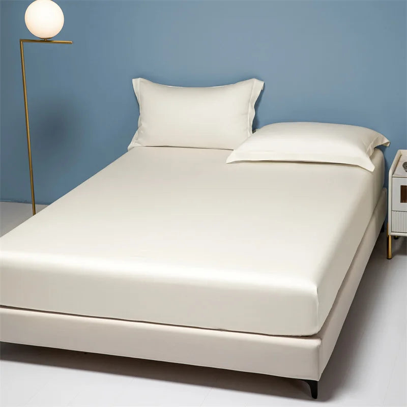 Afralia™ 1000TC Egyptian Cotton 10 Colors Fitted Sheet, King Queen Twin Sizes, Dark Gray