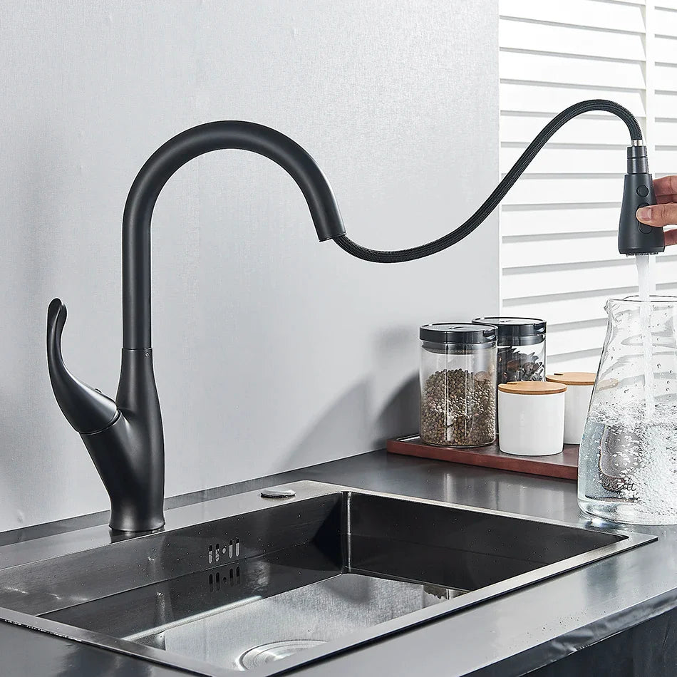 Afralia™ Kitchen Faucet: Chrome/Black Pull Out Mixer with 2 Function Spout