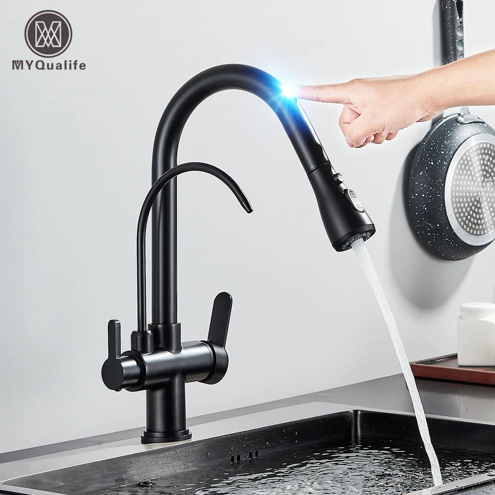 Afralia™ Dual Handle Kitchen Faucet with Black Touch Sensor and Three Modes