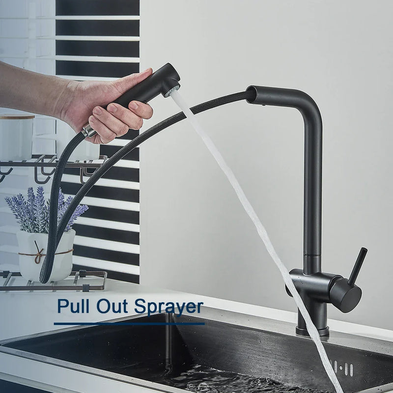 Afralia™ Black Gourmet Kitchen Faucet with Flexible Sprayer and Dual Nozzle