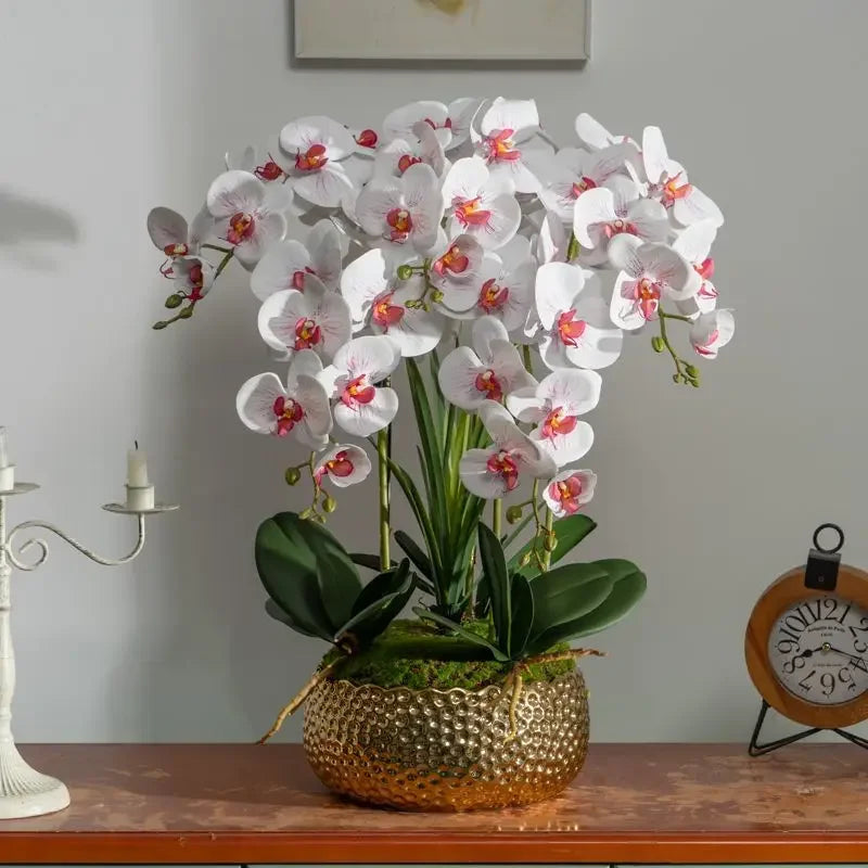 Afralia™ Phalaenopsis Flower in Pot: High-End Hand Moisture Simulation & Art Decoration