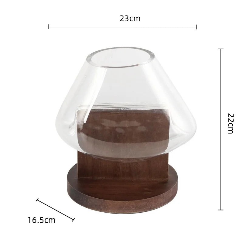 Afralia™ Glass Vase Terrarium Home Decoration Accessory
