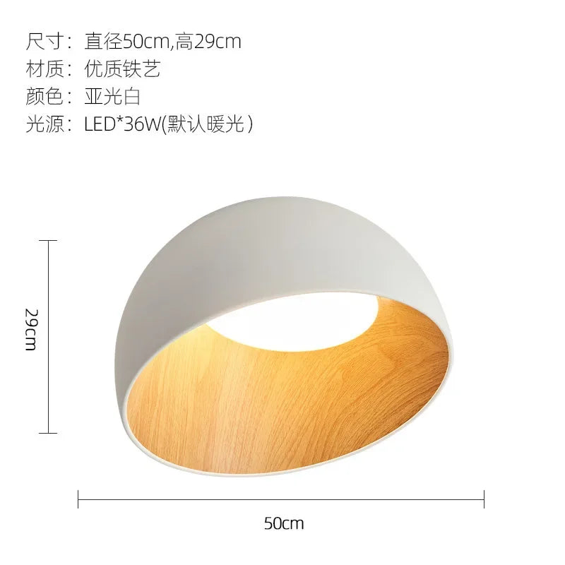 Afralia™ Minimalist Nordic Style Surface Mounted LED Ceiling Pendant Light