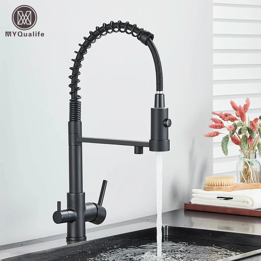 Afralia™ Matte Black Water Filter Kitchen Faucet Dual Handle Hot&Cold Drinking Pure Mixer