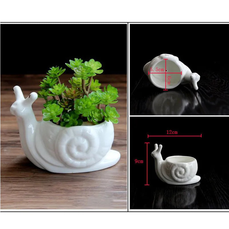 Afralia™ Cartoon Snail Flower Vase Succulent Pot for Garden Decoration