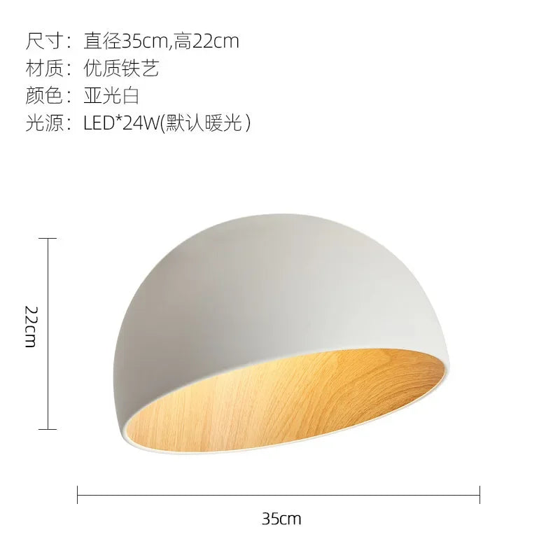 Afralia™ Minimalist Nordic Style Surface Mounted LED Ceiling Pendant Light