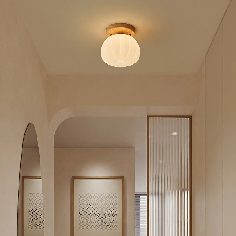 Afralia™ LED Modern Ceiling Light for Living Room Balcony, Nordic Style Indoor Lighting Fixtures