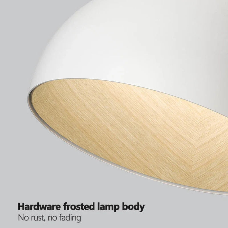 Afralia™ Minimalist Nordic Style Surface Mounted LED Ceiling Pendant Light