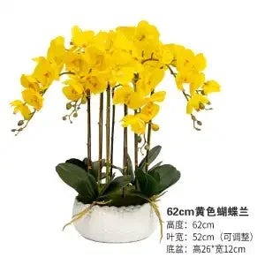 Afralia™ Phalaenopsis Flower in Pot: High-End Hand Moisture Simulation & Art Decoration
