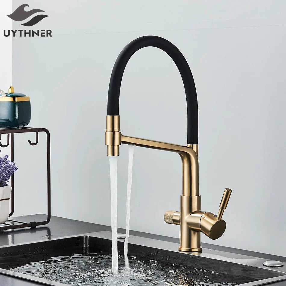 Afralia™ Dual Spout Kitchen Filter Faucet: 360° Rotation Drinking Water Purification Mixer