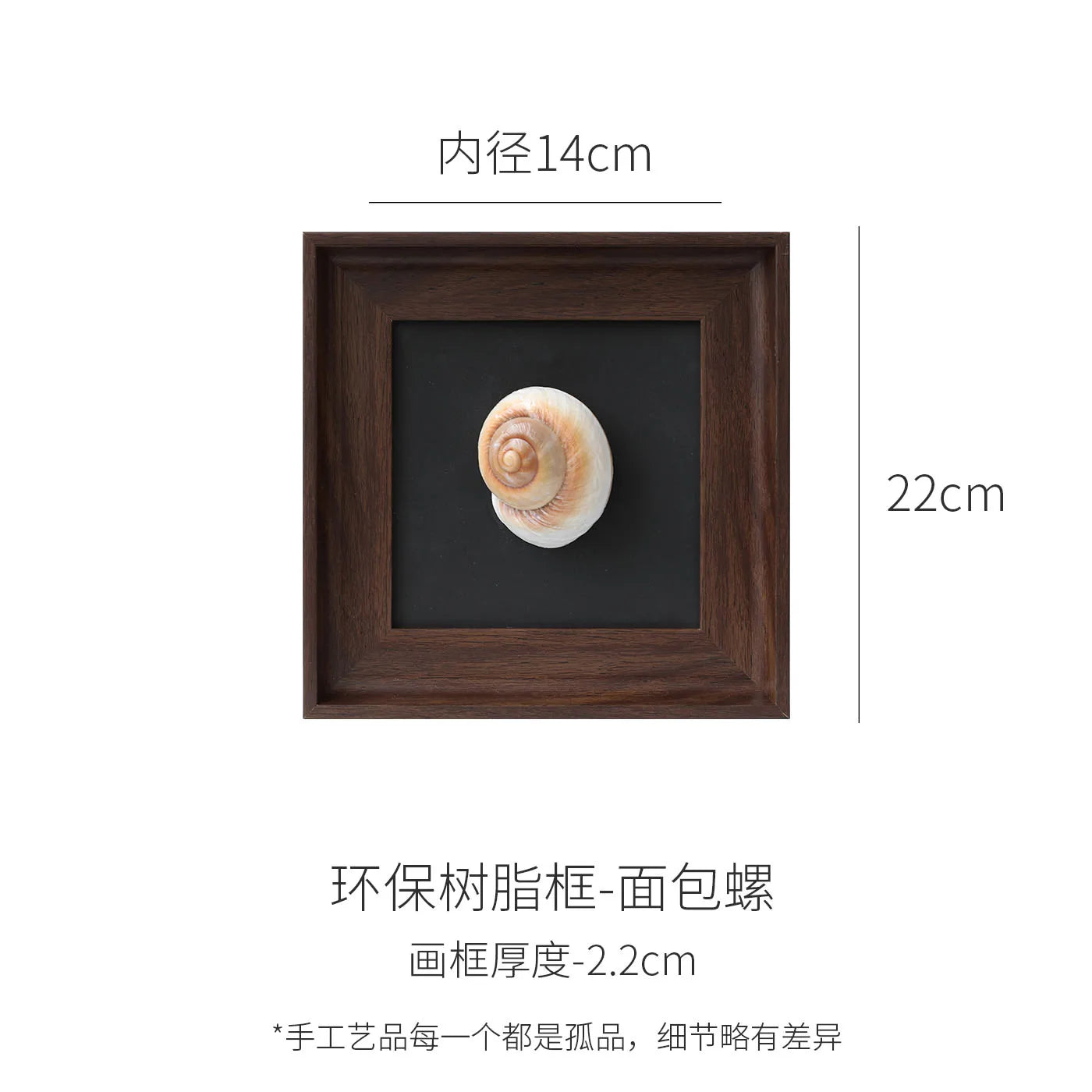 Afralia™ Conch Shell Decorative Painting Frame Pendant Wall Ornaments