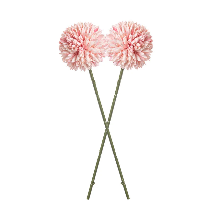 49435163623729|49435163656497