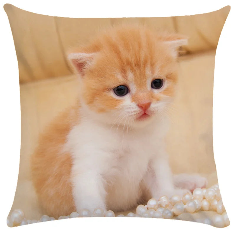 Afralia™ Bubble Black Cats Cat Pillow Cases Sofa Home Decor Custom Cushion Cover