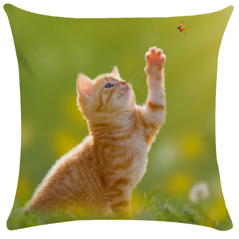 Afralia™ Bubble Black Cats Cat Pillow Cases Sofa Home Decor Custom Cushion Cover