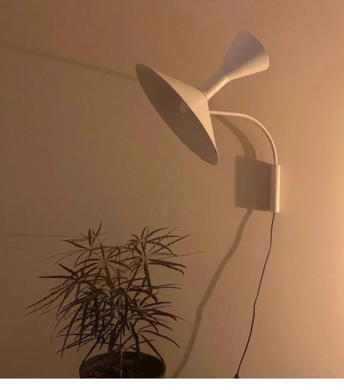 Afralia™ Nordic Rotatable Horn Wall Lamp for Creative Living Room