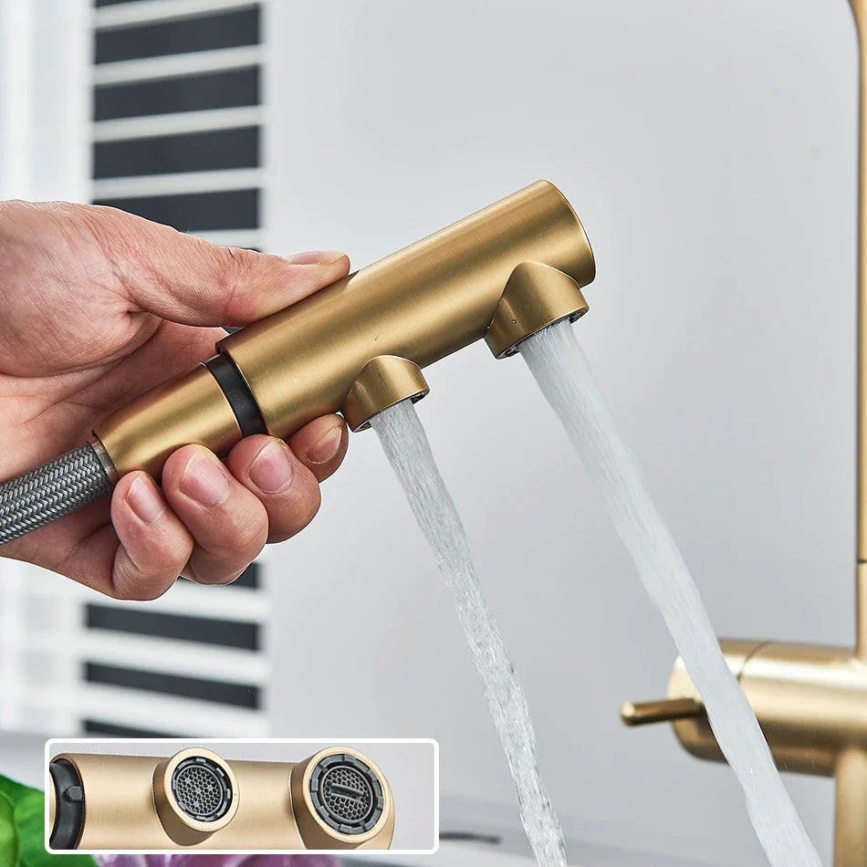 Afralia™ Dual Handle Waterfilter Kitchen Faucet with 360° Rotation & Pull Out Mixer Tap