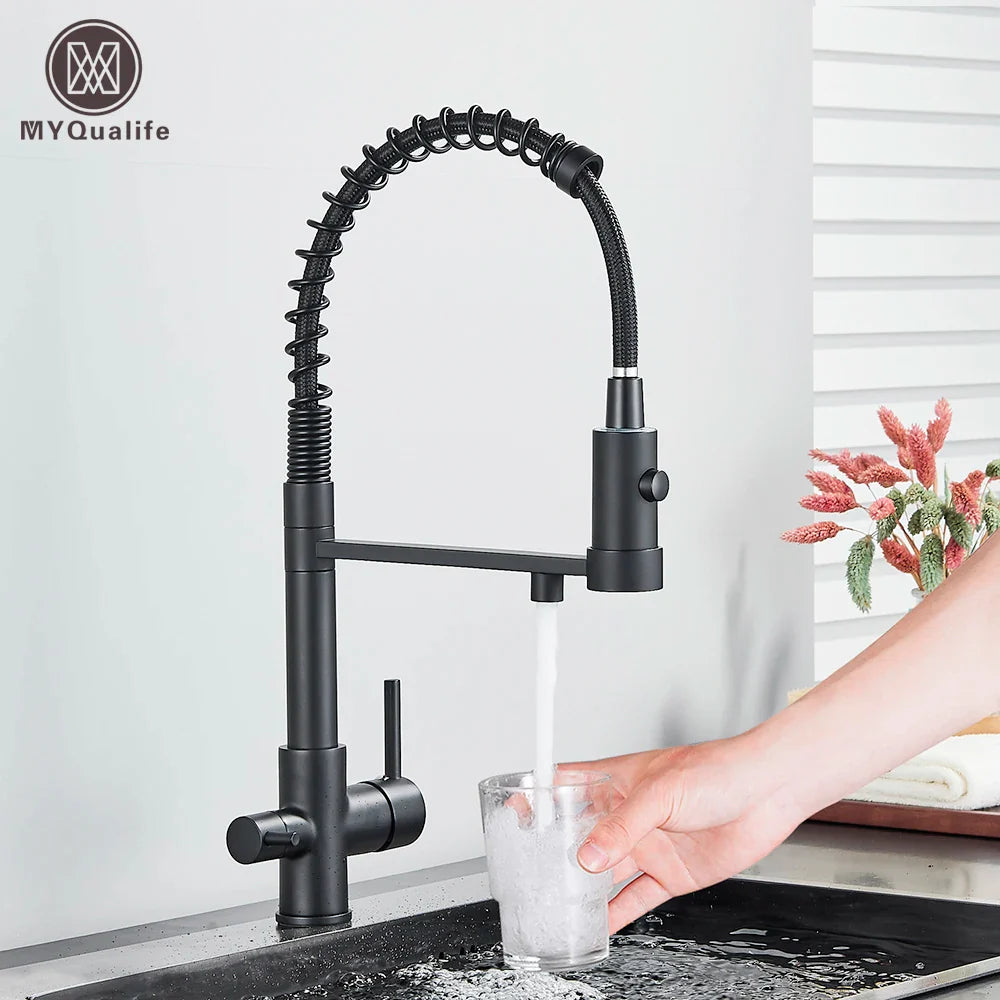 Afralia™ Matte Black Water Filter Kitchen Faucet Dual Handle Hot&Cold Drinking Pure Mixer