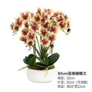 Afralia™ Phalaenopsis Flower in Pot: High-End Hand Moisture Simulation & Art Decoration
