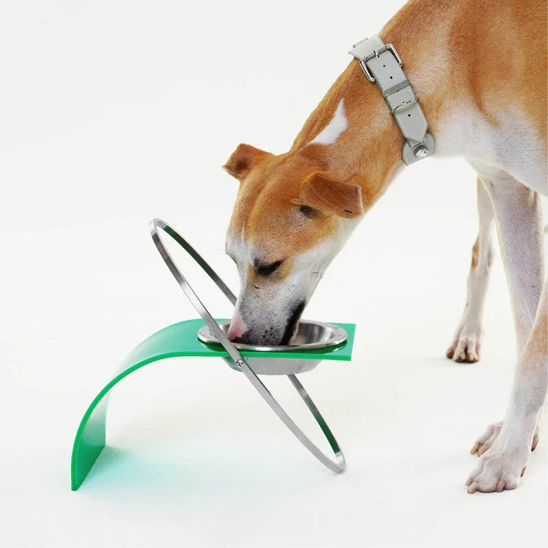Afralia™ Stainless Steel Pet Bowl - Modern Minimalist Orbital Planet Design