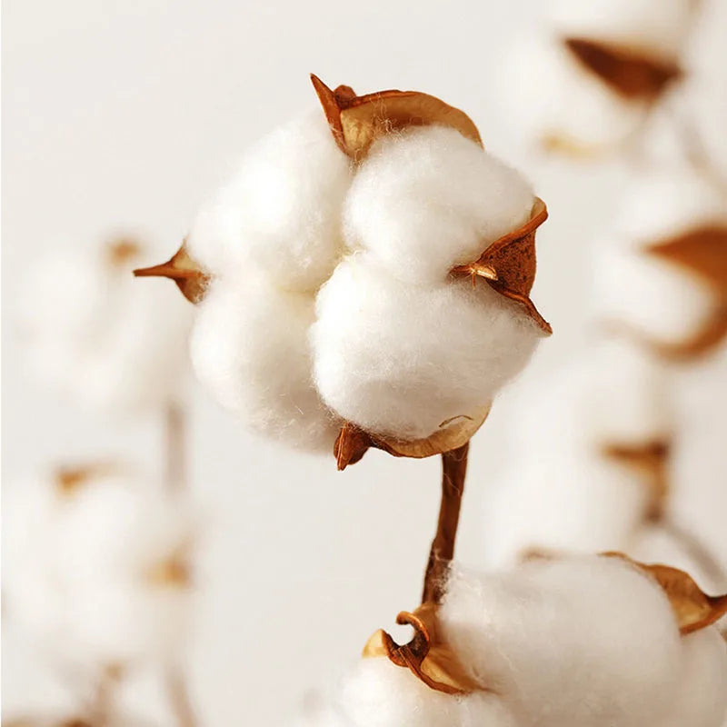 Afralia™ Cotton Jacquard Fitted Sheet Set with 2 Pillowcases, Dustproof & Anti-Slip