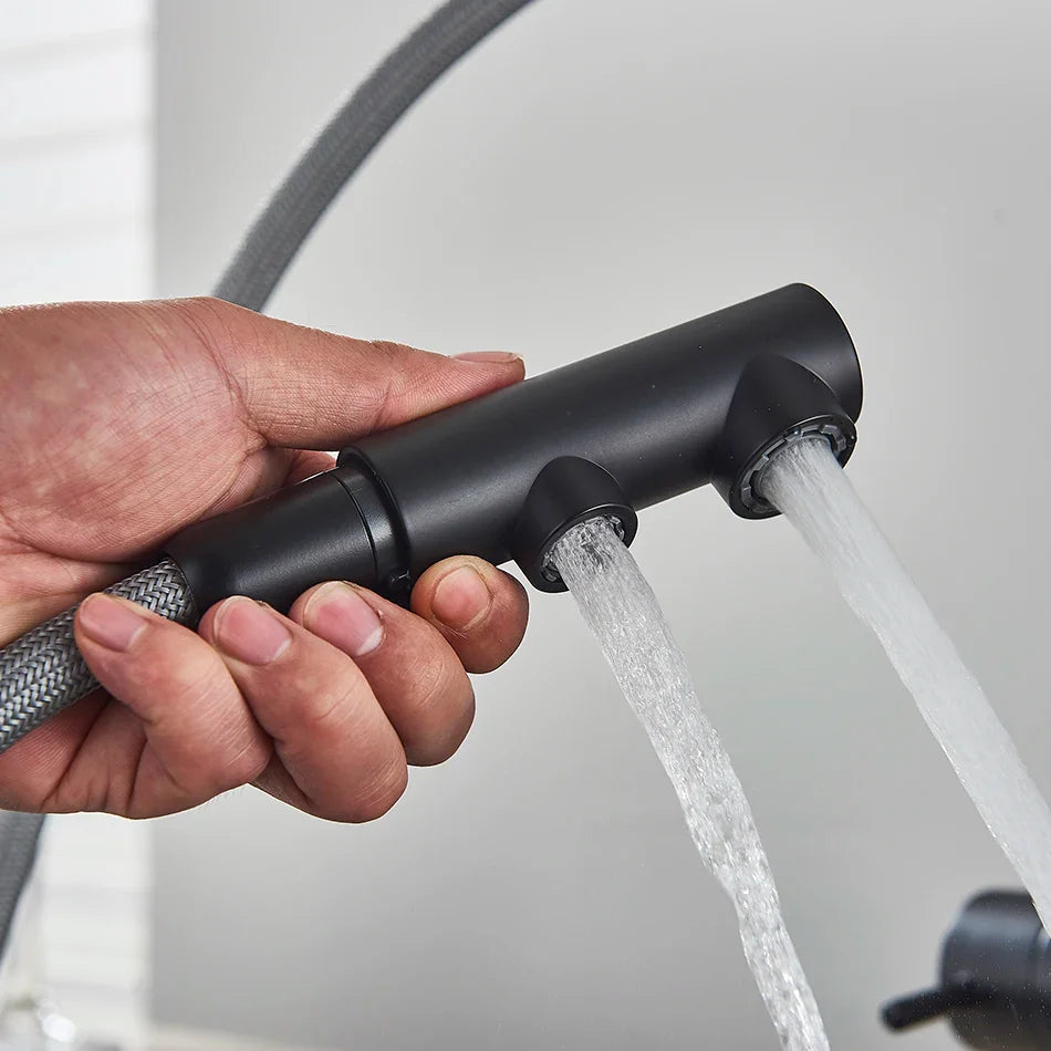 Afralia™ Waterfilter Kitchen Faucet Mixer Tap with Dual Handles and Pull Out Spout