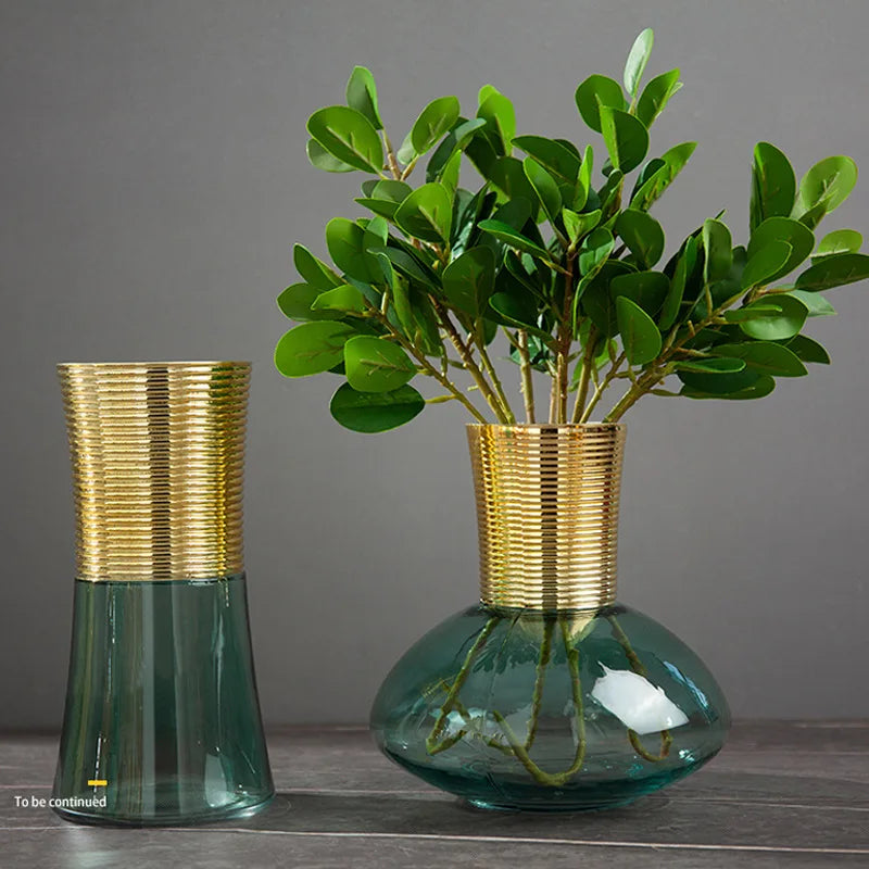 Afralia™ Gold Metal Glass Vase: Round Transparent Terrarium for Home Decor & Flower Arrangement