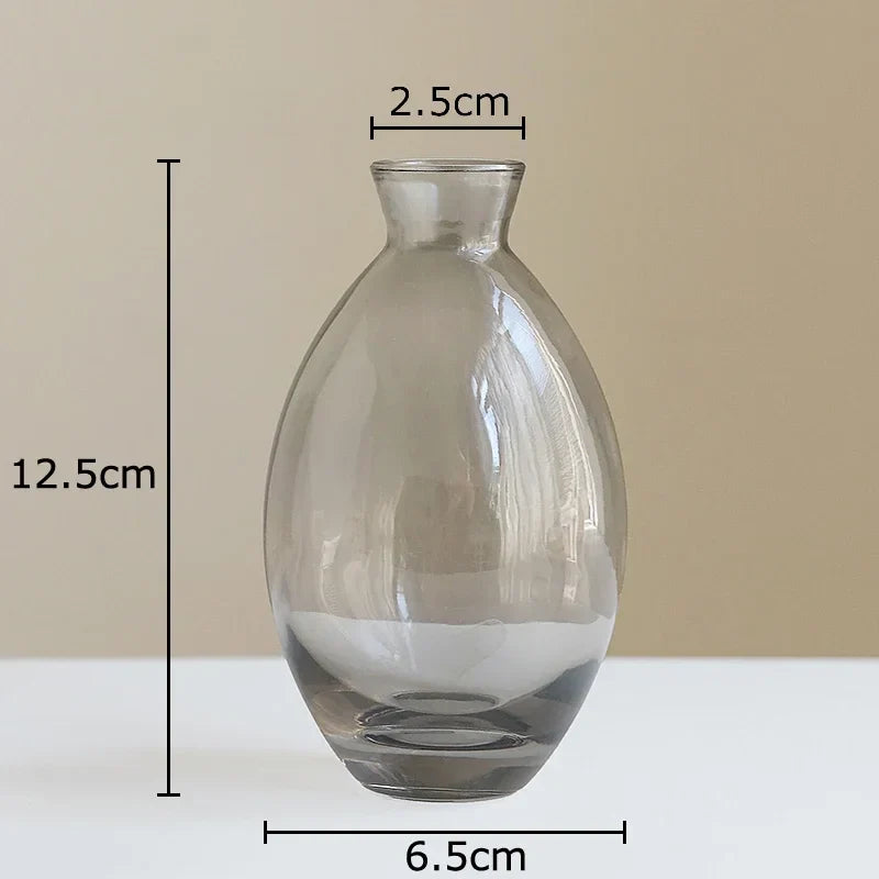 Afralia™ Small Glass Vase for Table Decoration Room Aesthetic, Multi Style Floral Pots