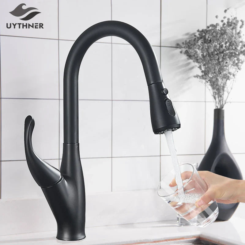 Afralia™ Kitchen Faucet: Chrome/Black Pull Out Mixer with 2 Function Spout